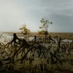 Photo by Ihsan Adityawarman on Pexels | harga cuci karpet rumah illustration