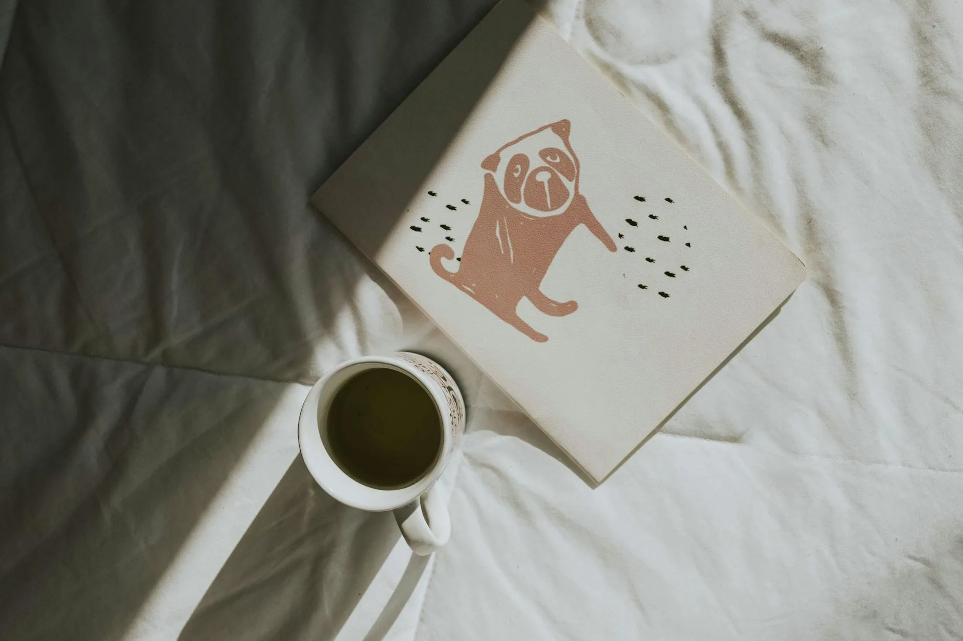 Photo by Letícia Alvares on Pexels | Jasa Bersih Kasur Jogja illustration