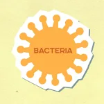 Photo by Monstera Production on Pexels | Pencucian Karpet Terdekat illustration