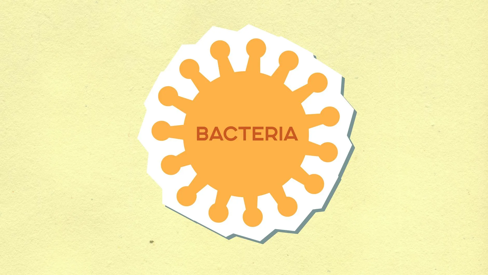 Photo by Monstera Production on Pexels | Pencucian Karpet Terdekat illustration