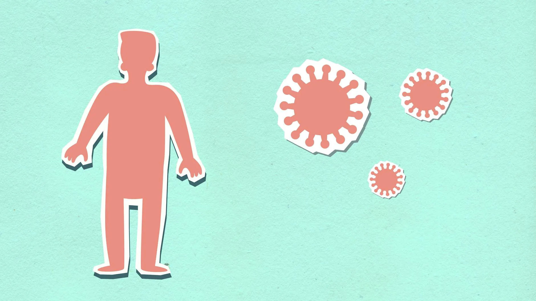 Photo by Monstera Production on Pexels | Cuci Karpet Terdekat Dari Lokasi Saya illustration