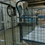 Photo by Tima Miroshnichenko on Pexels | laundry kasur lantai terdekat illustration